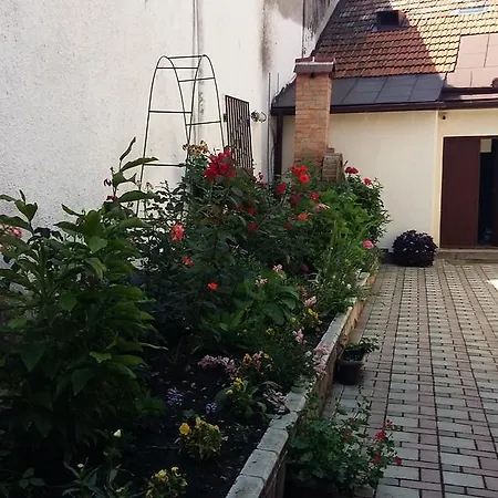 아파트 Casa Graef *